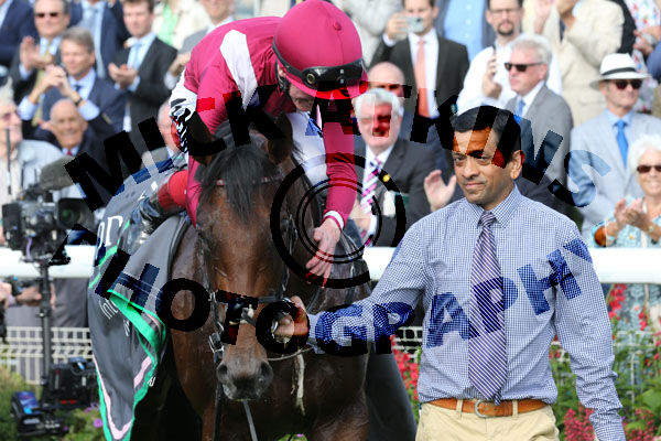 Race 4 - Mishriff (10)