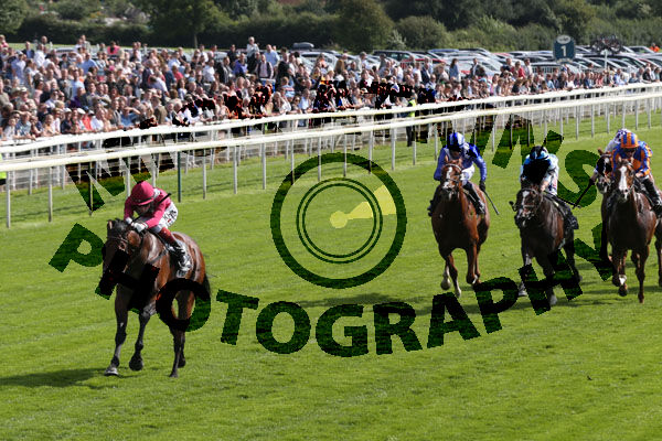 Race 4 - Mishriff (2)