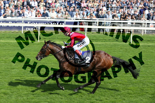 Race 4 - Mishriff (4)
