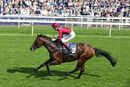 Race 4 - Mishriff (4)