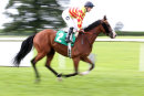Race 4 - Mitchum Swagger (3)
