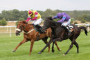 Race 4 - More Bucks (11)