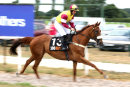 Race 4 - More Bucks (2)