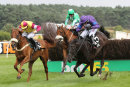 Race 4 - More Bucks (6)