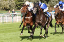 Race 4 - Mr Diamond (10)