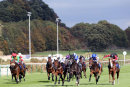 Race 4 - Mr Diamond (3)