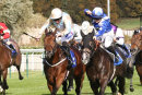Race 4 - Mr Diamond (4)