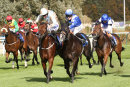 Race 4 - Mr Diamond (6)