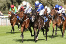 Race 4 - Mr Diamond (8)