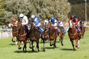 Race 4 - Mr Diamond (9)