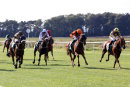 Race 4 - Mr Strutter (3)049
