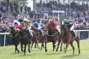 Race 4 - Mr Strutter (3)