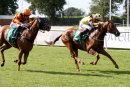 Race 4 - Mr Strutter (4)050