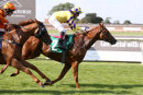 Race 4 - Mr Strutter (7)053