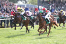 Race 4 - Mr Strutter (7)