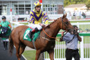 Race 4 - Mr Strutter (8)054