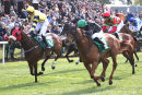Race 4 - Mr Strutter (9)
