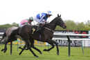 Race 4 - Myristica (11)