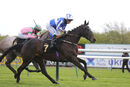 Race 4 - Myristica (12)