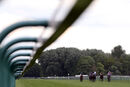 Race 4 - Myristica (2)