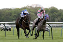 Race 4 - Myristica (5)