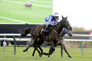 Race 4 - Myristica (7)