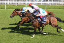 Race 4 - Nausha (3)