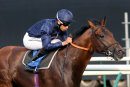 Race 4 - Nayel (5)