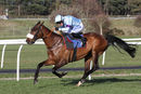 Race 4 - No Alarm (6)