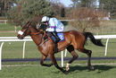 Race 4 - No Alarm (8)