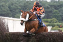 Race 4 - Northern Beau (4)