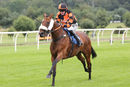 Race 4 - Northern Beau (7)