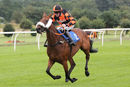 Race 4 - Northern Beau (8)