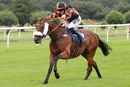 Race 4 - Northern Beau (9)