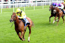 Race 4 - Novoman (21)