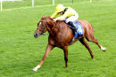 Race 4 - Novoman (23)