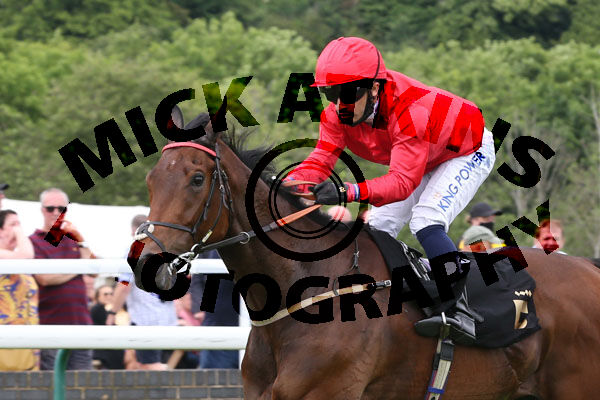 Race 4 - One Night Stand (8)