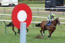 Race 4 - Paddy A (6)