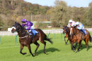 Race 4 - Perfect Pasture (5)