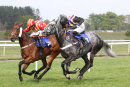 Race 4 - Pickamix (10)