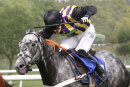 Market Rasen Races (12 May 17)