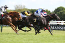 Race 4 - Possible Man (10)