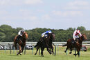 Race 4 - Possible Man (2)