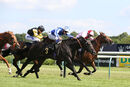 Race 4 - Possible Man (5)