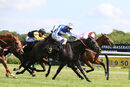 Race 4 - Possible Man (6)
