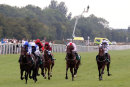 Race 4 - Princess Power (3)