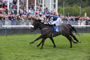 Race 4 - Queen Jo Jo (10)