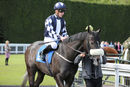 Race 4 - Queen Jo Jo (3)