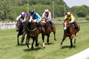 Race 4 - Rebel At Dawn (1)