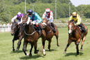 Race 4 - Rebel At Dawn (2)